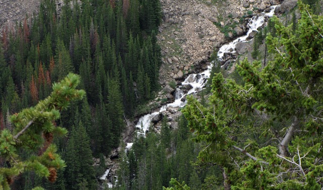 Rock Creek Cascade From the Lookout
