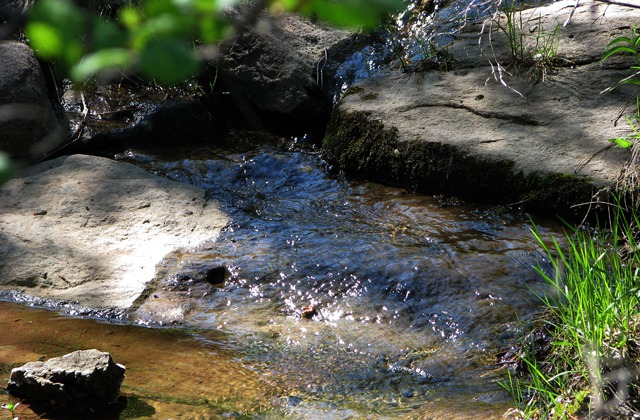 Vanocker Creek Brings Life-Giving Moisture to the Glen