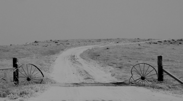 Wagon Wheels Frame Snowy Road into the Fog