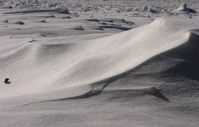 The Driveway Drifts Plumb Shut