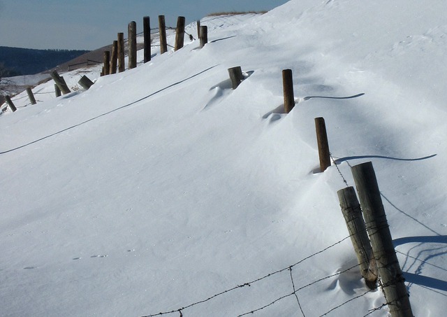 A Buried Hillside Fence Line