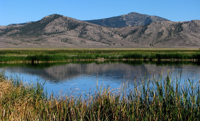 One of Hundreds of Ponds on the Ruby Lake National Wildlife Refuge