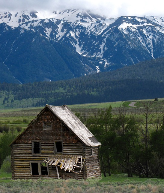 Abandoned Cabin Near the Red Rock Lakes Turnoff