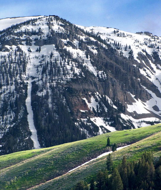 North-Facing Slope with Avalanche Chute on the Left
