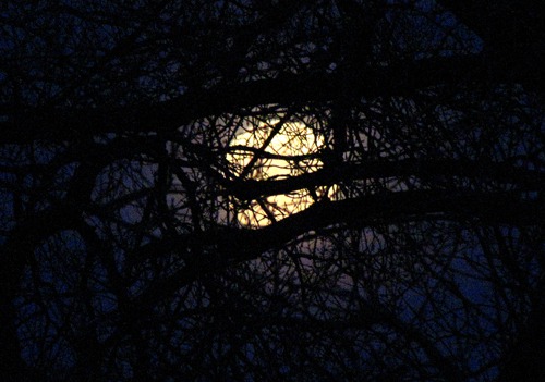 Full Moon Rising Along the Platte River