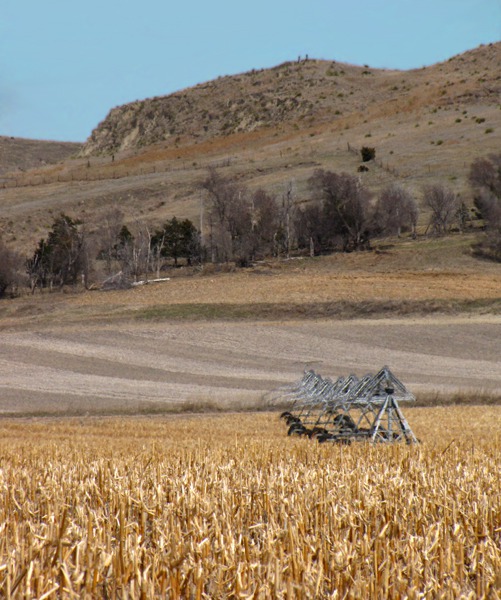 Western Nebraska Agriculture and Sandy Hills