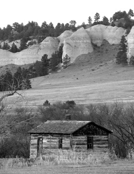 Old Cabin Along Wounded Knee Creek (black and white)