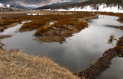 North American beaver (Castor canadensis) Impoundments At Yellowstone National Park Boundary