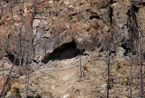 Madison River Canyon Wall Cave and Possible Bear Den