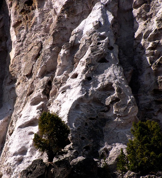 Cliff Face at Tuff Cliff