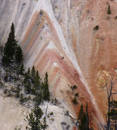 Inverted V and Trees in the Grand Canyon of the Yellowstone