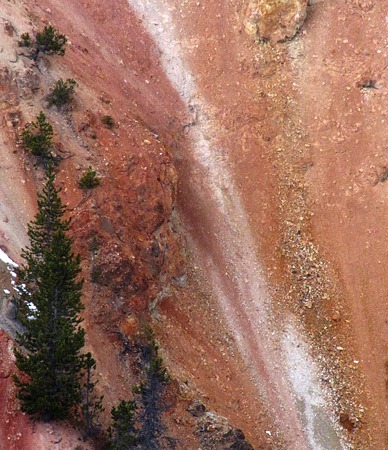 Red Slide Past Trees in the Grand Canyon of the Yellowstone