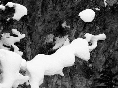 Snow Cling on Canyon Wall in the Grand Canyon of the Yellowstone River (Black and White)