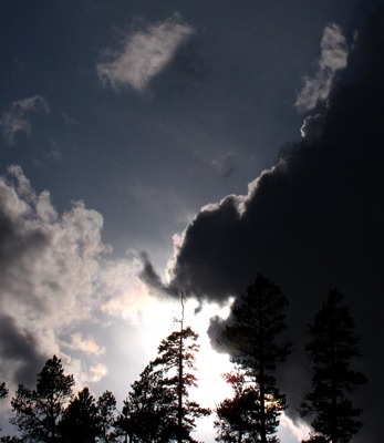 Laughing Elephant Cloud