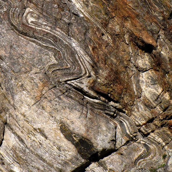 Slow-Moving Rock Snake