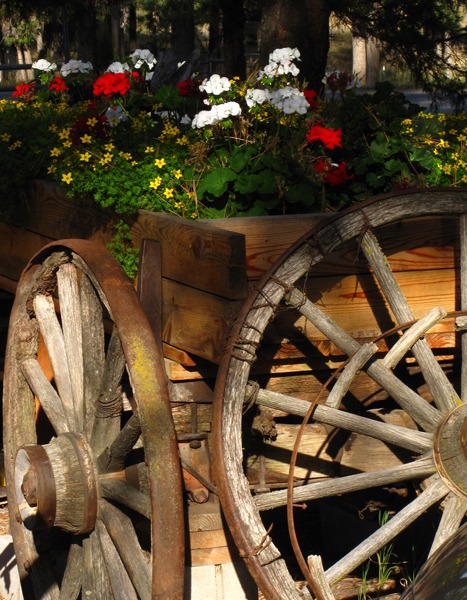 Flower Wagon Outside the Stage Stop