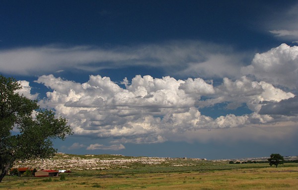 Ranch Tree and Clouds Outside Wheatland WY