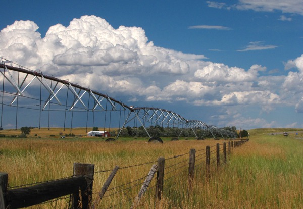 Cumulus, Irrigation and Fence