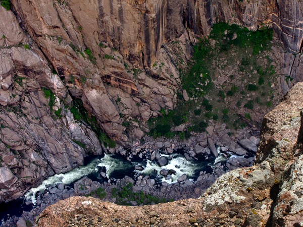 What Furry Purry Saw in Black Canyon of the Gunnison National Park CO