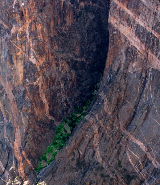 Vegetated Side Canyon in Black Canyon of the Gunnison National Park CO