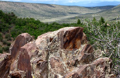 Trailside Rock Formation