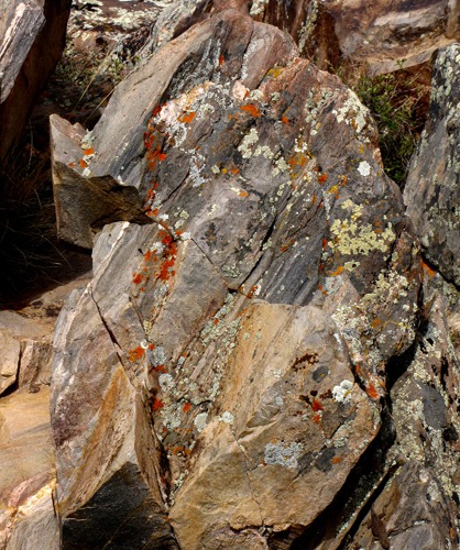 Lichen Rock Sculpture