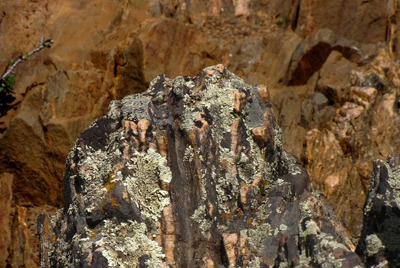 Rocky Upthrust with Lichen