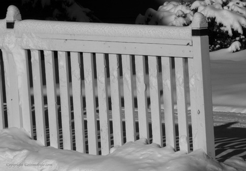 Snowy Fence Section in Bozeman