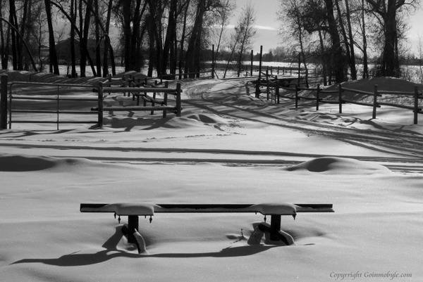 Snowy Lane with Old Iron