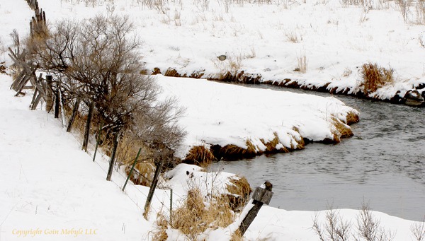 Camp Creek Bend with Brush