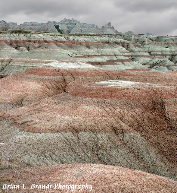 Variety of Shape and Color Across the Chadron Formation