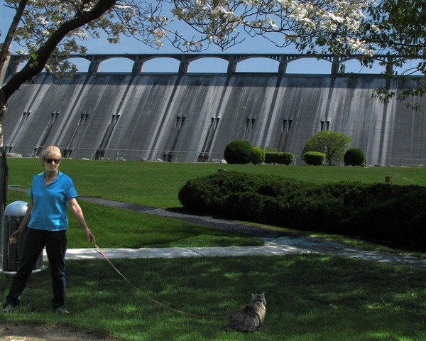 Furry Ponders the Dam