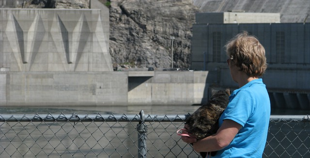 Furry Wonders About Hydroelectric Power