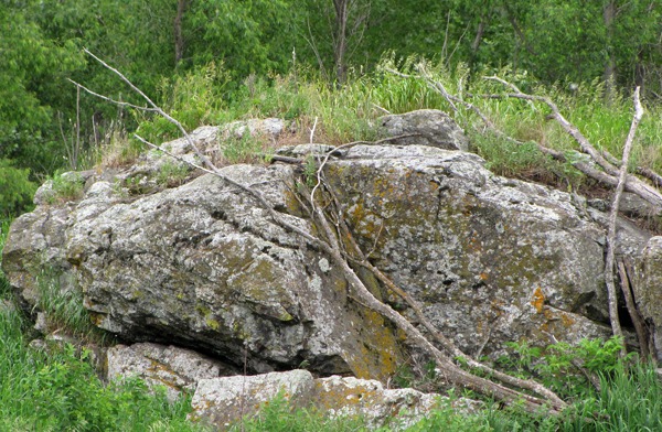 The Granite Outcrop You Could Actually See, Gneiss Outcrop Scientific and Natural Area MN