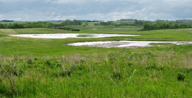 Northern Tallgrass Prairie National Wildlife Refuge Ponds