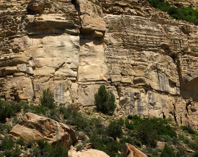 Mesa Bottom Detail