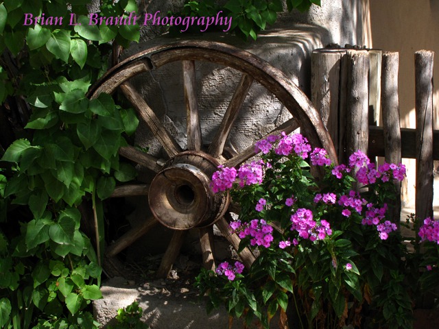 Wagon Wheel and Flowers Near Saint Francis de Assisi Mission Church