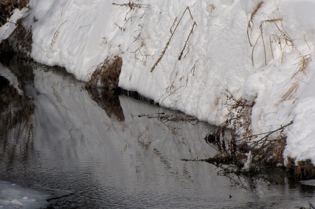 A Stream Breaks the Post Blizzard Ice