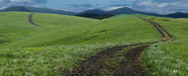 Our Two-Track Road Through the Bald Hills