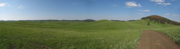 Bald Hills Panorama