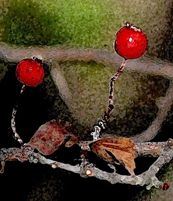 Two End of Season Rose Hips with a Filter Effect