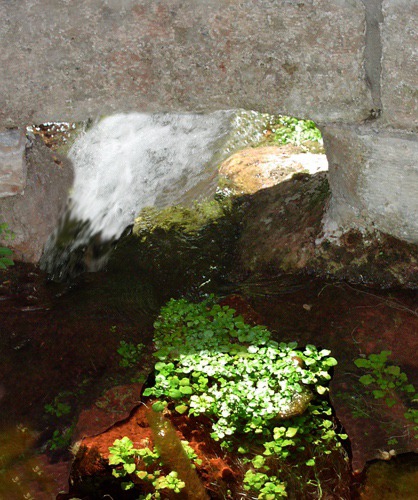 Cascade Spring Emerges from Cistern