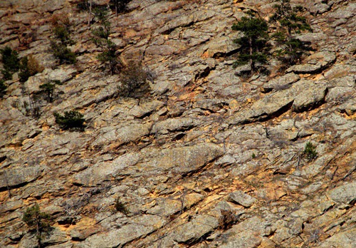 Golden Rock Hillside Across SD HWY 71 from the Preserve