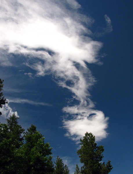 Cloud Spiral over Pine at Meadow's Edge