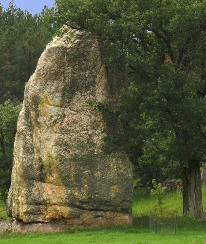 Monolith and Tree on Pennington County Road 233