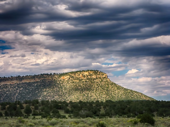 Midnight Mesa Near Cimarron NM