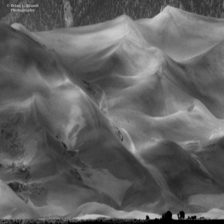 Wind-Sculpted Dunes with Cottonwood Trees at Lower Right