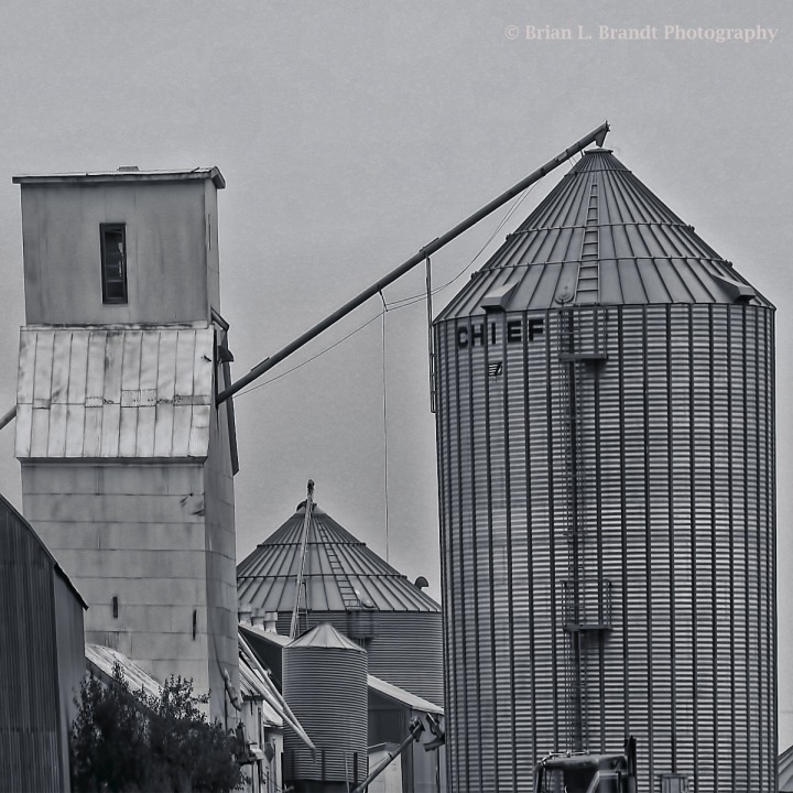 Old Grain Silos Pop Up Out of Flat Fields