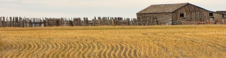 Aging Barns and Fences and Fields