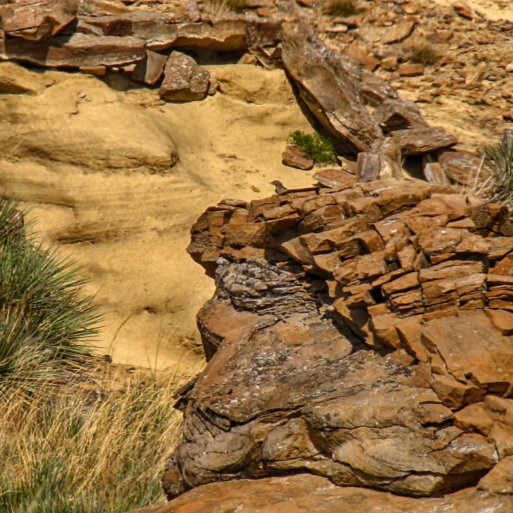 Close-Up Prairie Geology 